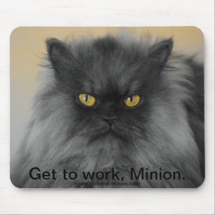 Tapis De Souris Colonel Meow