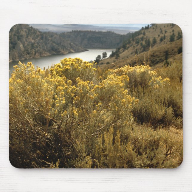 Tapis De Souris Colorado Colorado Canyon pinceau Mousepad (Devant)