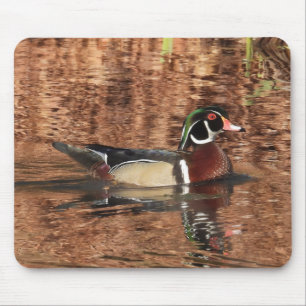 Tapis De Souris Colorful Male Wood Duck