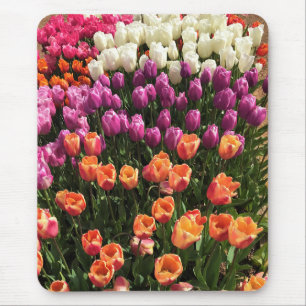 Tapis De Souris Colorful Tulip Garden Bed, Oregon