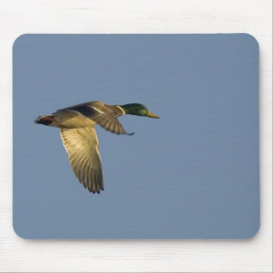 tapis de souris colvert volant dans le ciel ouvert