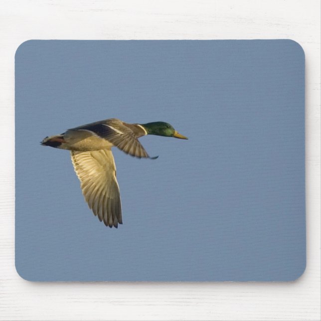 tapis de souris colvert volant dans le ciel ouvert (Devant)