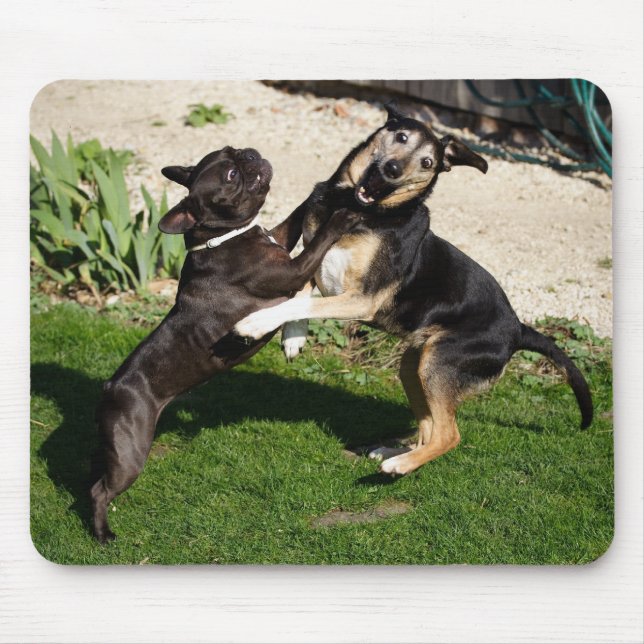 Tapis De Souris Combattre les chiens (Devant)