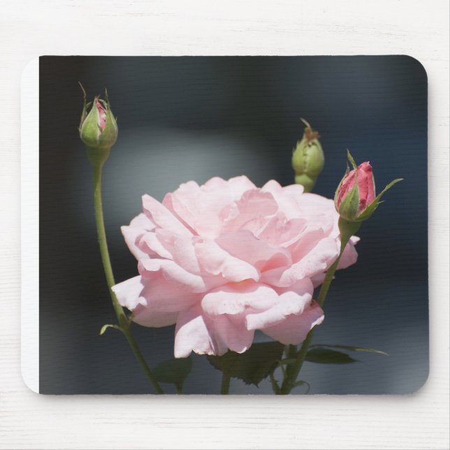 Tapis De Souris comme une rose (Devant)