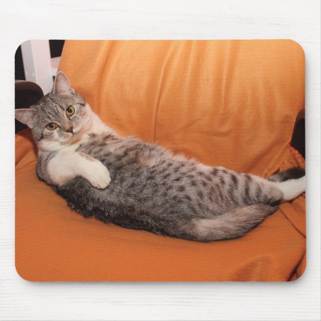 Tapis De Souris Comment ça va ? Dîner Ready ? (Devant)