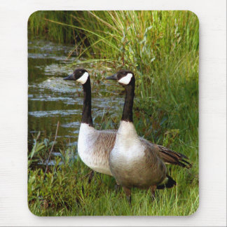 Tapis De Souris Compagnons pendant la vie