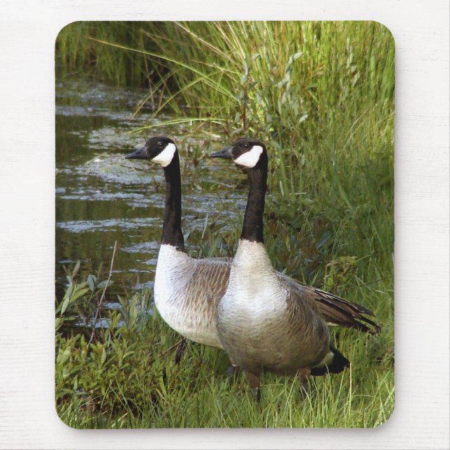 Tapis De Souris Compagnons pendant la vie (Devant)