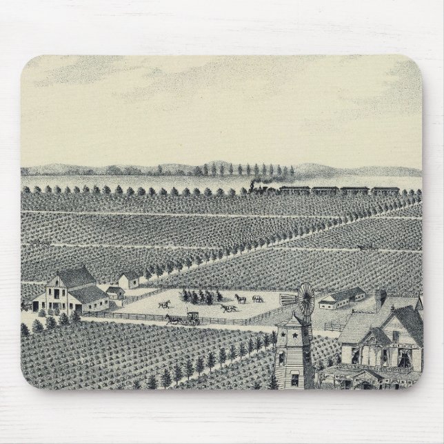 Tapis De Souris Comté de Caledonia Vineyard, Fresno (Devant)