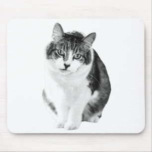 Tapis De Souris Concentration calme et chaleureuse