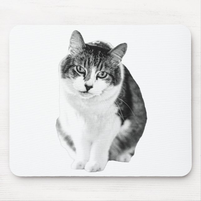 Tapis De Souris Concentration calme et chaleureuse (Devant)
