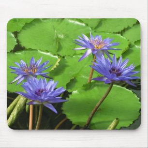 Tapis De Souris Conception botanique florale de nénuphar tropical