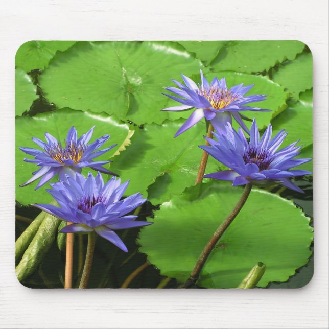 Tapis De Souris Conception botanique florale de nénuphar tropical (Devant)