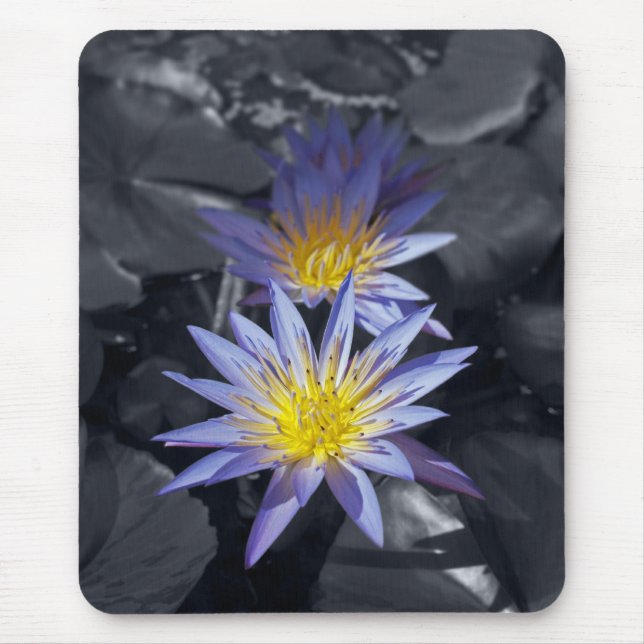 Tapis De Souris Conception botanique florale de nénuphar tropical (Devant)