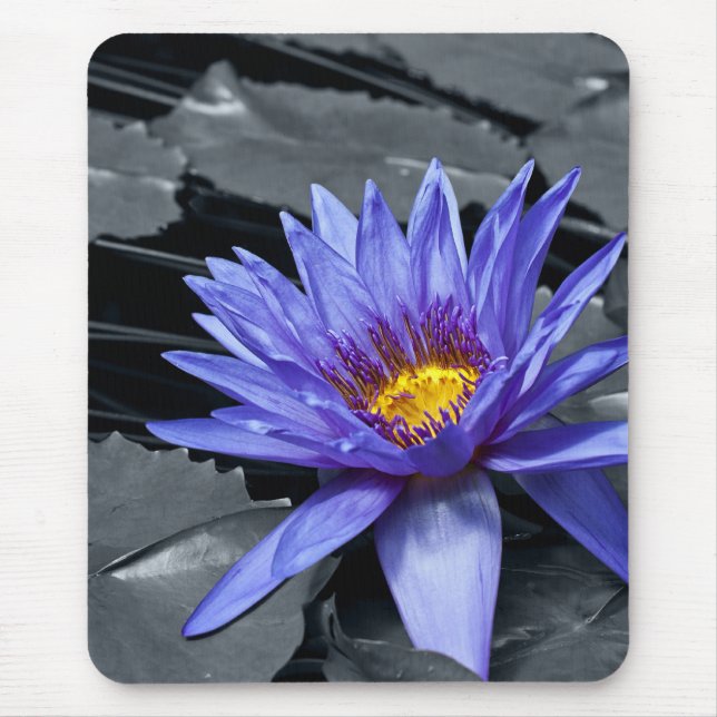 Tapis De Souris Conception botanique florale de nénuphar tropical (Devant)