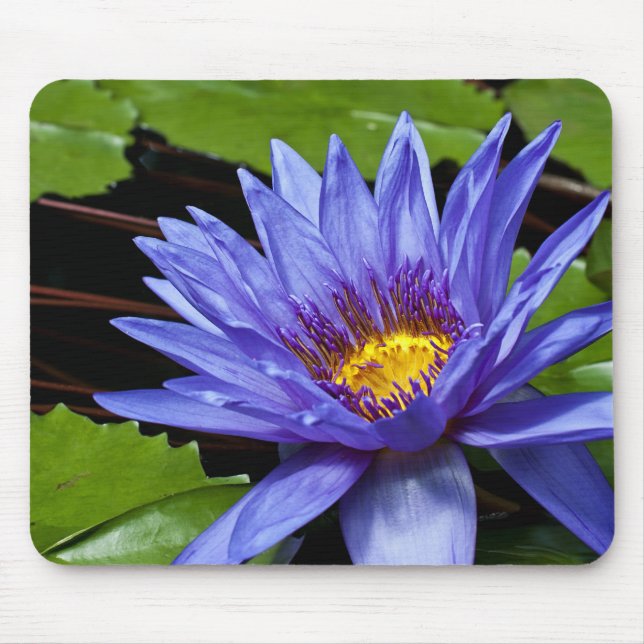 Tapis De Souris Conception botanique florale de nénuphar tropical (Devant)