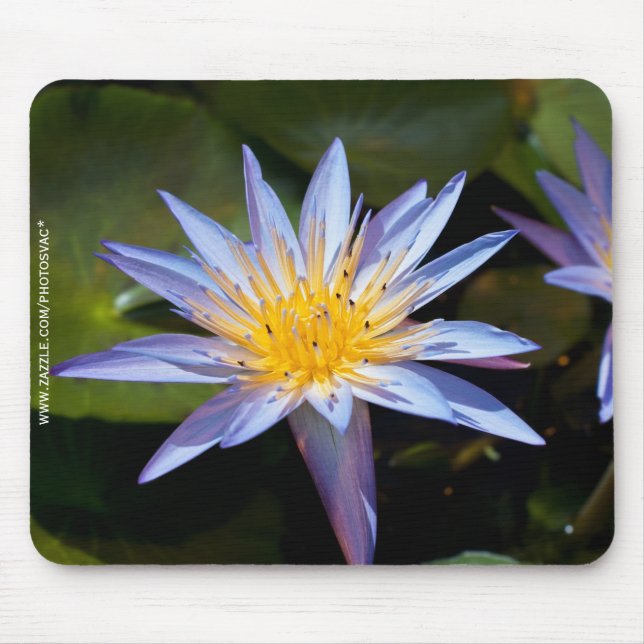 Tapis De Souris Conception botanique florale de nénuphar tropical (Devant)