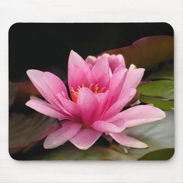 Tapis De Souris Conception botanique florale de nénuphar tropical (Devant)