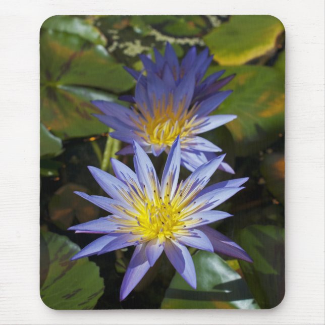 Tapis De Souris Conception botanique florale de nénuphar tropical (Devant)
