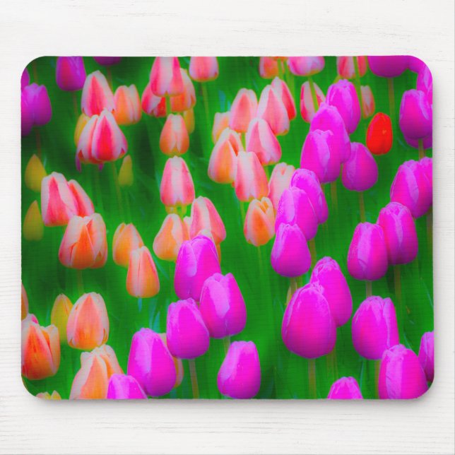 Tapis De Souris Conception florale de tulipe rose et orange (Devant)