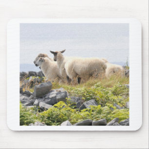 Tapis De Souris Conceptions originales - Moutons dans un champ