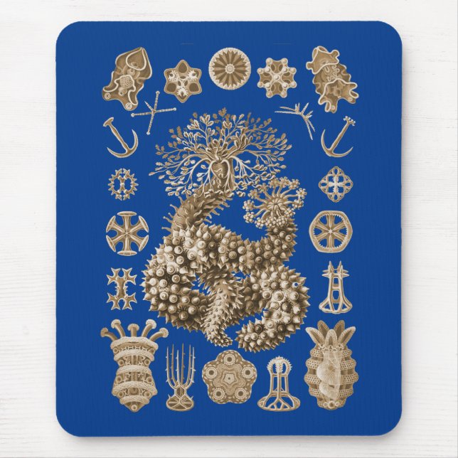 Tapis De Souris Concombres de mer (Devant)