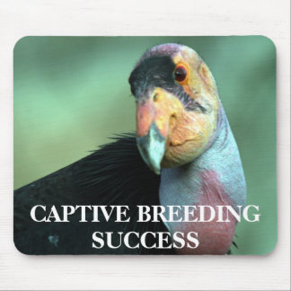 Tapis De Souris Condor de Californie Mousepad