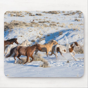 Tapis De Souris Conduite de chevaux en hiver au Hideout Ranch