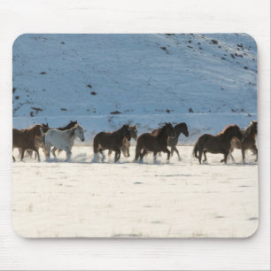 Tapis De Souris Conduite de chevaux en hiver au Hideout Ranch