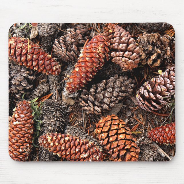 Tapis De Souris Cône de pin (Devant)