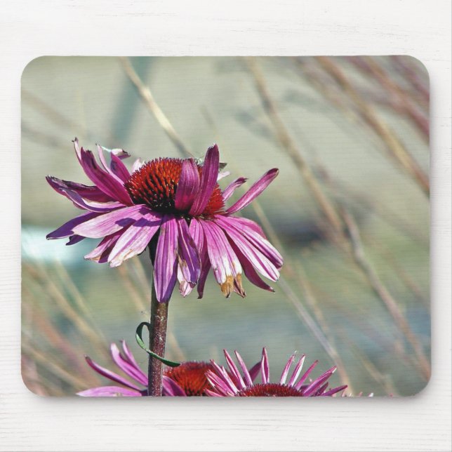Tapis De Souris Confleur (Devant)