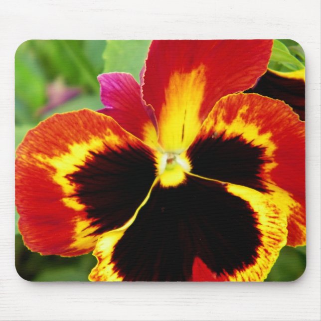 Tapis De Souris Confort (Devant)