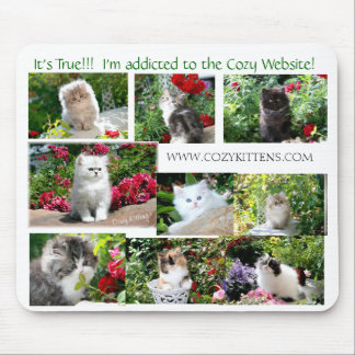 Tapis de souris confortable de chaton