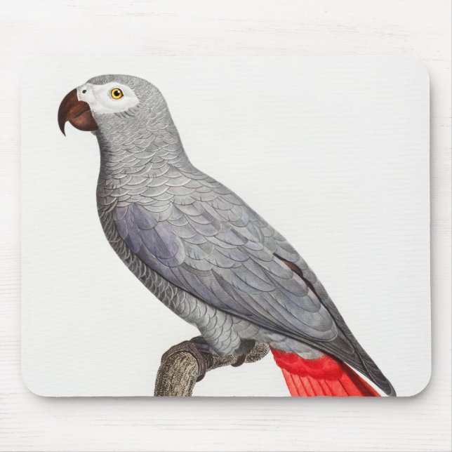 TAPIS DE SOURIS CONGO GRAY PARROT (Devant)