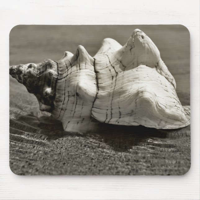 Tapis De Souris Conque noire et blanche Shell (Devant)