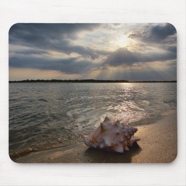 Tapis De Souris Conque Shell à la plage | St Augustine, la Floride (Devant)