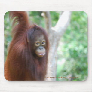 Tapis De Souris Conservation d'animal de jungle d'orang-outan de
