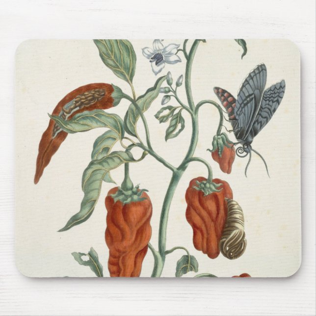 Tapis De Souris Consoude, "d'un de fines herbes curieux", 1782 (Devant)