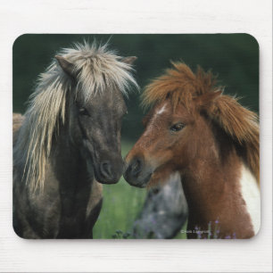 Tapis De Souris Contact miniature de chevaux