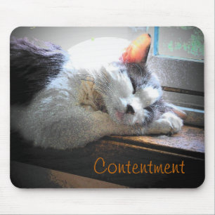 Tapis De Souris Contenu Dormir Kitty