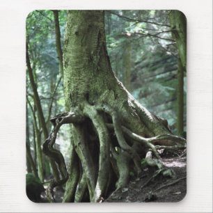 Tapis De Souris Continuer