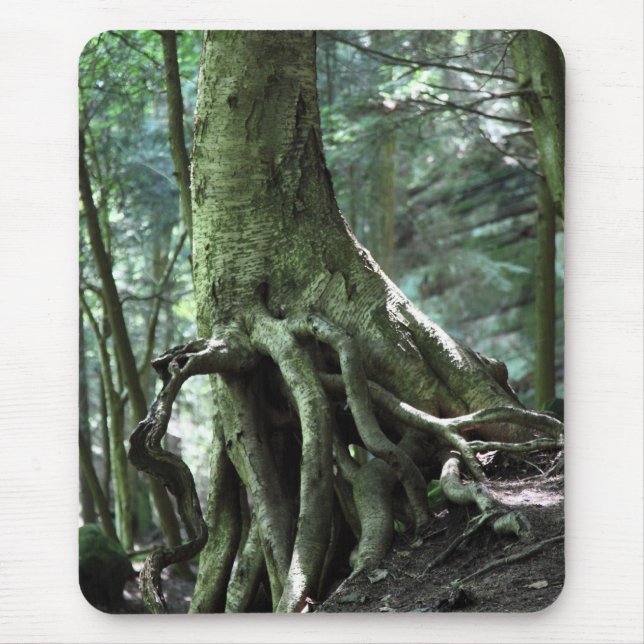 Tapis De Souris Continuer (Devant)