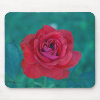 Tapis De Souris Contreseings Mousepad rose