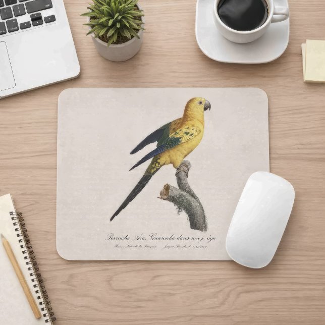 Tapis De Souris Conure soleil Aratinga solstitialis (Guarouba dans sons jeune age / Sun parakeet. Mouse Pad)