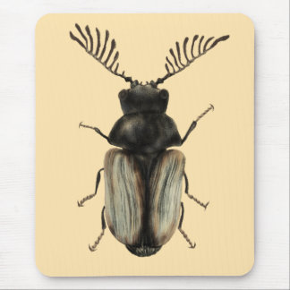 Tapis De Souris Cool dendroctone insecte amant entomologie art