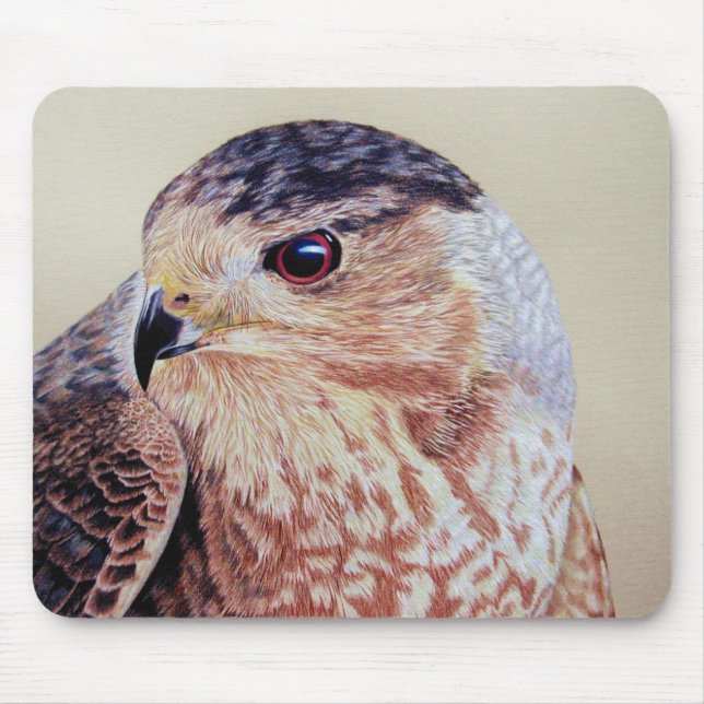 Tapis De Souris Coopers Hawk (Devant)