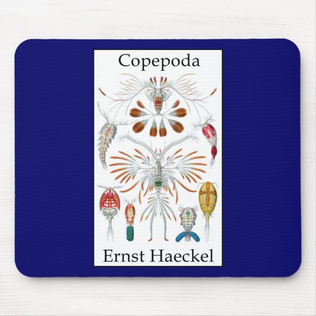 Tapis De Souris Copepoda par Ernst Haeckel (Devant)