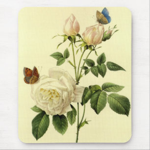Tapis De Souris Copie de Redoute : Le 'Bengale Hymanee rose
