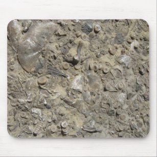 Tapis De Souris Copie fossile de gâchis