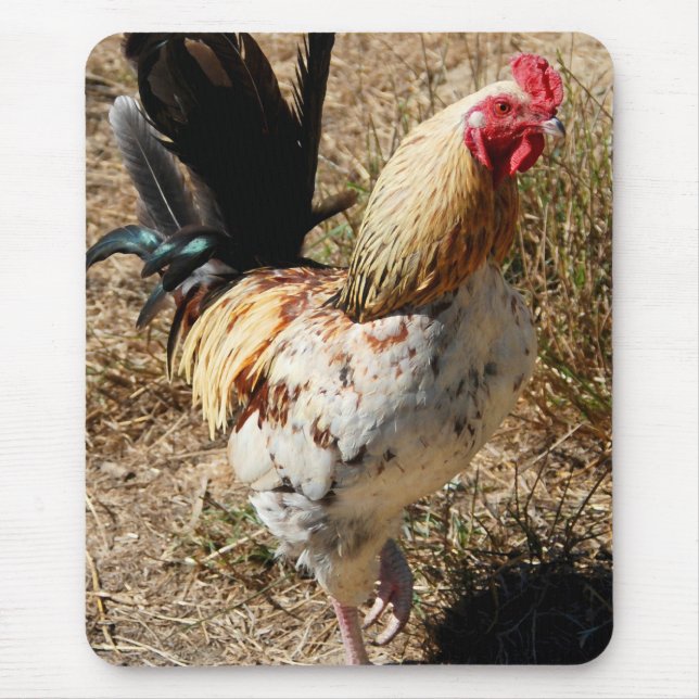 Tapis De Souris Coq ! (Devant)