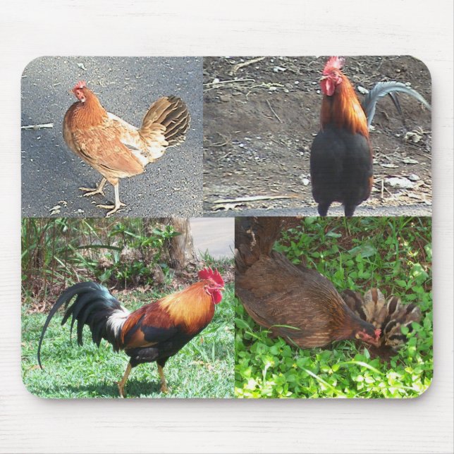Tapis De Souris Coqs et poules Mousepad (Devant)